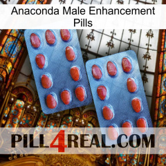 Anaconda Male Enhancement Pills 05